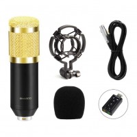 BM-800 Πυκνωτικό Μικρόφωνο Χρυσό