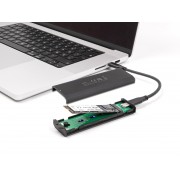 DELOCK θήκη για M.2 NVMe PCIe/SATA SSD 42031, 20Gbps, tool free, μαύρη
