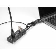 DELOCK USB hub 64233 με διακόπτες, 4 θυρών, 10Gbps, USB-C σύνδεση, μαύρο