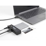 DELOCK docking station 64252 για M.2 NVMe/SATA SSD & HDD, clone function