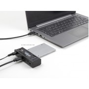 DELOCK docking station 64253 για M.2 NVMe/SATA SSD & HDD, 10Gbps, μαύρο