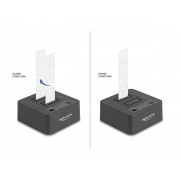 DELOCK docking station για M.2 NVMe SSD 64300, 2 θέσεων, 20Gbps, clone/erase function, μαύρο