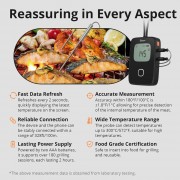 SONOFF smart θερμόμετρο barbeque BMT01 με 2x αισθητήρες, έως 300 °C, μαύρο