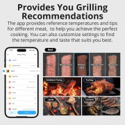 SONOFF smart θερμόμετρο barbeque BMT01 με 2x αισθητήρες, έως 300 °C, μαύρο