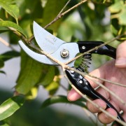 DELI κλαδευτήρι DL580200 με μέγιστη διάμετρο κοπής 14mm, 200mm