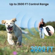 POWERTECH ηλεκτρικό κολάρο εκπαίδευσης σκύλου PT-1399 με ασύρματο χειριστήριο, εμβέλεια 300m