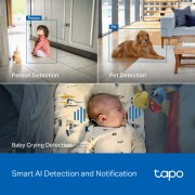 TP-LINK smart camera Tapo C260, 4K, WiFi, two-way audio, Pan/Tilt , Ver. 1.0