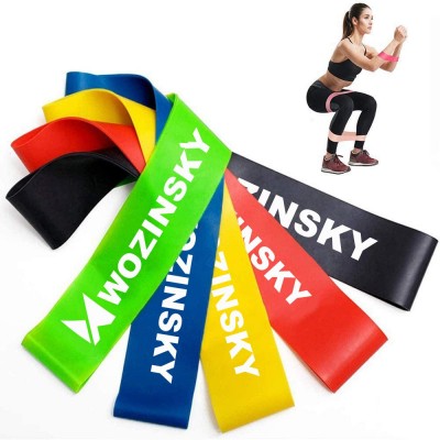 Wozinsky Exercise Bands Resistance Loop Band, Rubber Elastic Strength Training Equipment for Home Gym (WRBS5-01)