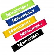 Wozinsky Exercise Bands Resistance Loop Band, Rubber Elastic Strength Training Equipment for Home Gym (WRBS5-01)