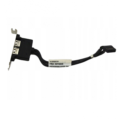 Lenovo ThinkCentre M92p Rear Dual USB Cable