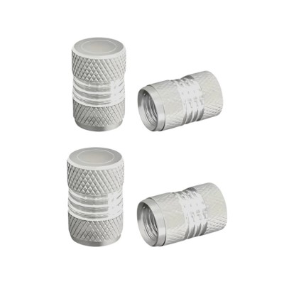 Καπάκι βαλβίδας ελαστικών αυτοκινήτου - R-Z17109-4U - 140526 - Silver