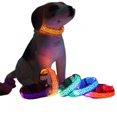 Φωτεινό περιλαίμιο - κολάρο σκύλου - 2.5cm - S/M/L - 10pcs - 550231