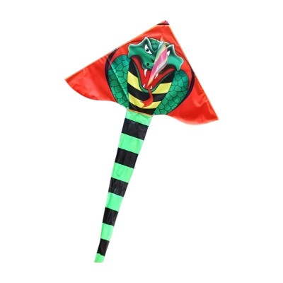 Χαρταετός με σχέδιο - 1.18m - 981256