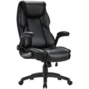 Καρέκλα Γραφείου - Eureka Ergonomic® ERK-OC11-B